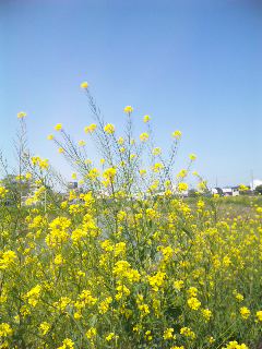100429_1000511.jpg